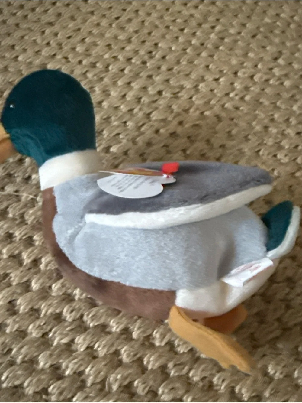 Beanie Babies questions leave